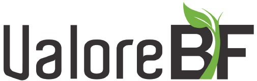 Valore BF