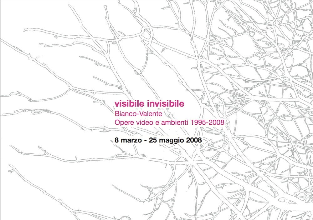 Visibile Invisibile