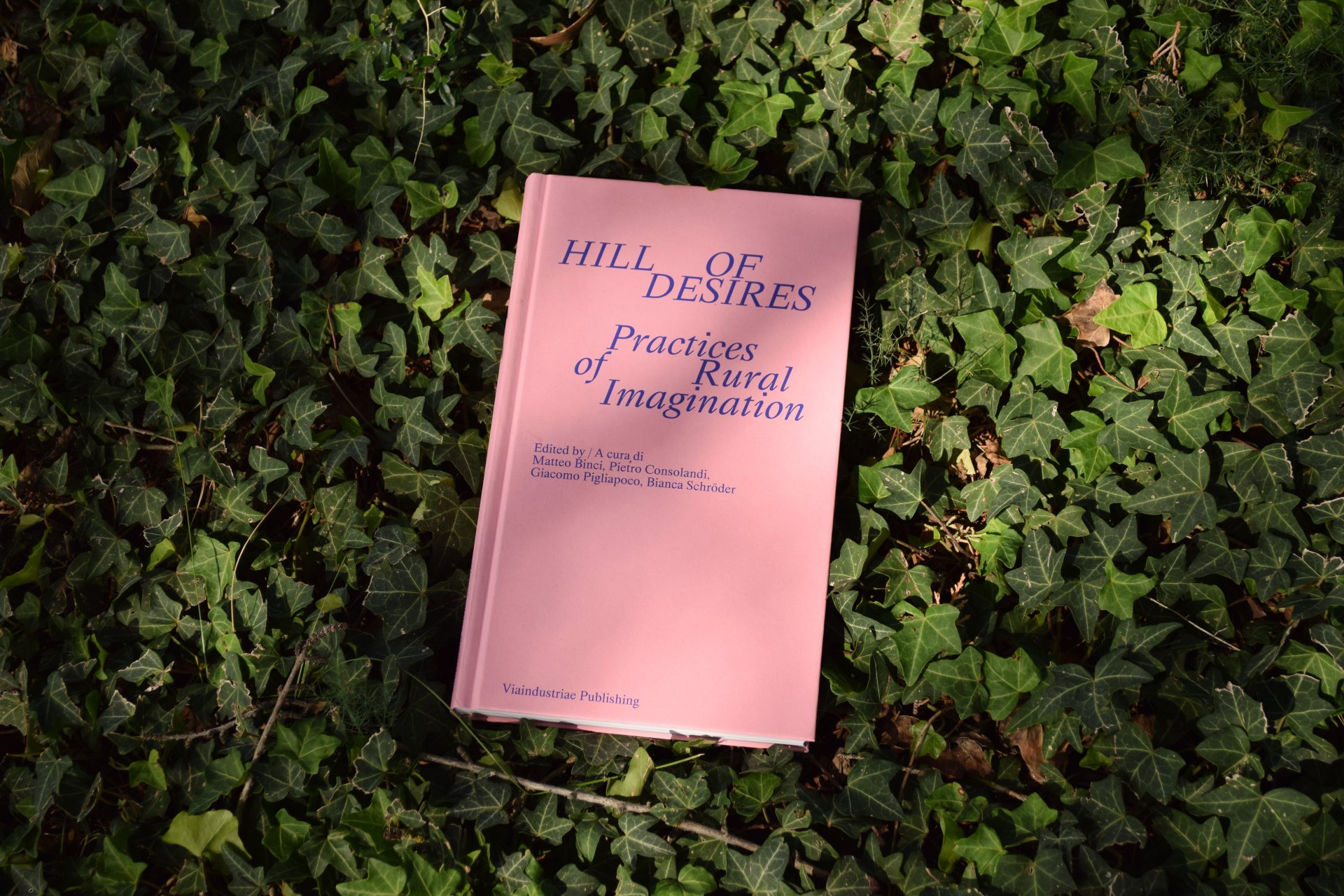 Editoria, pratiche artistiche e ricerca